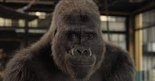 Thanks to scientists from woodland park zoo and the gorilla species survival plan, ivan was eventually gifted. The One And Only Ivan Review Reviews Screen