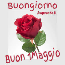 Seleziona una categoria 1 maggio/may 25 aprile festa della liberazione angel animal anime evening good morning good night halloween immagini e frasi love lunedì inizio settimana lunedì bambini. Ljpdpbquyymrkm