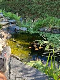 Image result for site:byggahus.se damm