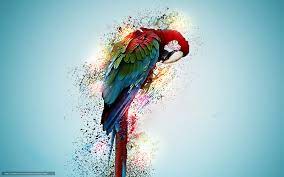 Arara Inspiracao Tattoo Parrot Wallpaper Psychedelic Artwork Parrots Art