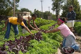 Children working in an organic garden ...