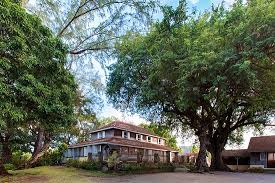 Rhum vieux or aged rum: Rum Destillerie Mit Fantastischer Umgebung Habitation Clement Le Francois Reisebewertungen Tripadvisor