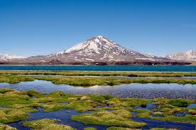 See 55 traveler reviews, 24 candid photos, and great deals for apartmentos san carlos, ranked #38 of 62 specialty lodging in benalmadena and rated 2 of 5 at tripadvisor. Por Que Visitar San Carlos Camara De Turismo De Mendoza