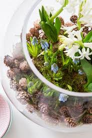 Spring Awakening Decorate With Flower Bulbs Blumenzwiebeln Deko Fruhling Und Fruhling