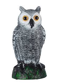I am always scared to try new things with him. 150 Ft Scare Birds Away And Protect Your Garden Bird Repellent Scare Birds Tape Skycabin Double Side Bird Scare Tape Bird Control Ecog Home Garden Store