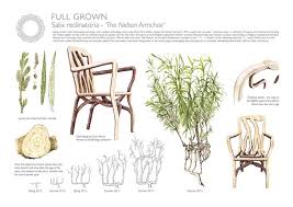 Designer Grows Trees As Artistic Furniture Straight From The Ground Growing Tree Eclectic Furniture Artistic Furniture