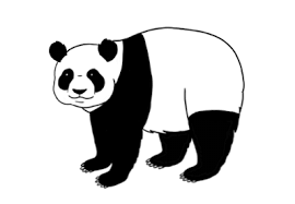 We did not find results for: Wie Zeichnet Man Einen Panda Schritt Fur Schritt Design Illustration Website Entwicklung Computerspiele Und Mobile Anwendungen
