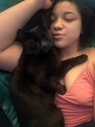 has anyone seen my sisters cat black/ white with yellow collar he has a  sore