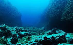 This Is What An Earthquake Looks Like Underwater Underwater Photography Ocean Ocean Underwater
