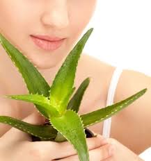 According to blaisure, aloe vera. Does Aloe Vera Help Hair Growth How To Use Aloe Vera For Hair Growth