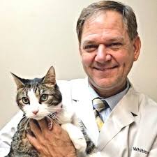 HELTON PLAZA VETERINARY HOSPITAL