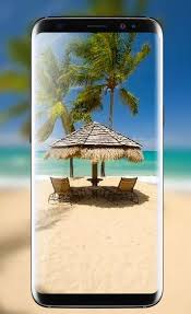 We did not find results for: Beach Live Wallpaper Free Tropical Island Themes For Android Apk Download