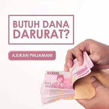 Walaupun perkembangan koperasi di indonesi cukup pesat, namun perkembangan tersebut belum mampu menembus peringkat besar pada skala internasional di bawah organisasi koperasi. Koperasi Eccindo Home Facebook