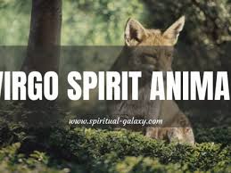 The beaver spirit animal is a master architect that can make a strong home out of scratch. Spirit Animals Spiritual Galaxy Com