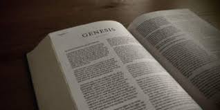 Some plants need to be sown every year. Genesis 1 11 And Work Bible Commentary Theology Of Work