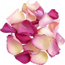 Pet·al·age, nounpetaled, petalled, adjectivepet·al·less, adjectivepet·al·like, adjective. In The Pink Rose Petal Mix Uncleroys Co Uk