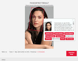 Result is displayed for each face detected. 4 Free Face Search Engines To Search A Face On The Web