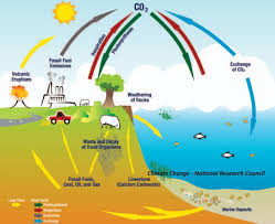 Diatas adalah gambar penyebab pemanasan global. Mengenal Gas Rumah Kaca Pemicu Pemanasan Global