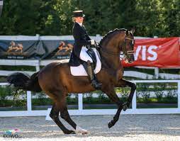 Gespräche mit prominenten zeitzeugen und akteuren. Frankreichs Erweiterter Olympia Kader Fur Tokio Steht Equestrian Worldwide Pferdesport Weltweit Eqwo Net
