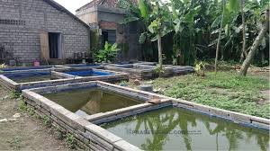 Harga Kolam Terpal Bundar Paling Terjangkau Di Rungkut Kidul Buktikan Sendiri Di 2020 Kolam Berburu Tanah