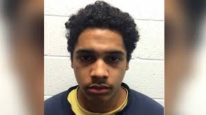 Northern California woman pleads guilty to murdering 2 kids