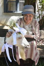 Amado debuted in film in the 1970s. Wvwmfdfxh Hiym