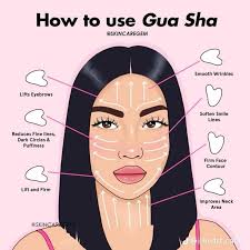 Erika Harder (hardererika172)