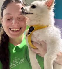 It's so lovely and sunny ☀️ today I've played with Dotty dog in the  sunshine and a game of uno with mummy and fed the fish in the pond 😊