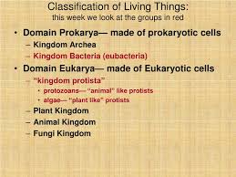 Ppt Classification Of Living Things This Week We Look At The Groups In Red Powerpoint Presentation Id 6950799