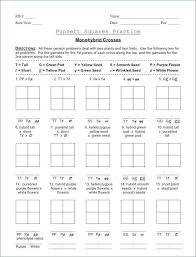 In a monohybrid cross, organisms differing in only one trait are crossed. Genetics Practice Problems Worksheet Pin By Morgan Linden On Classroom Ideas Life Science Middle School Punnett Squares Dihybrid Cross Worksheet