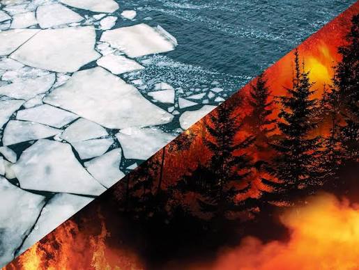 Fire and Ice: The Puzzling Link Between Western Wildfires and Arctic Sea Ice  | News Release | PNNL
