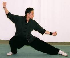 Southern praying mantis kung fu is not at all related to northern praying mantis…not even slightly. About Kung Fu Wu Shu Wushu Praying Mantis Kung Fu Academy