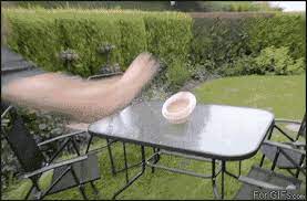 Let Me Just Grab My Hat Funny Gif Funny Pictures Cool Gifs