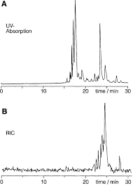 Image result for Rauvolfia mombasiana