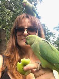 Visions of Johanna » Page 3 of 141 » Always exploring...