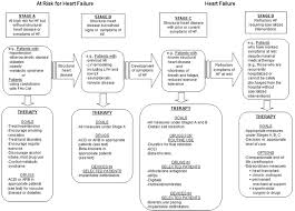 2009 Focused Update Incorporated Into The Acc Aha 2005