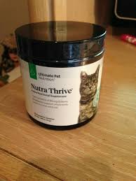 Dogs have gained the distinction of being 'a man's best friend' because they are one of the most loyal creatures you will ever have the privilege of crossing paths with. Nutra Thrive Feline Nutritional Supplement Factory Sealed Cat Nutrition Powder Ebay Cat Nutrition Nutritional Supplements Animal Nutrition
