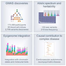 All the world's information is at your fingertips. The Allelic Landscape Of Human Blood Cell Trait Variation And Links To Common Complex Disease Abstract Europe Pmc