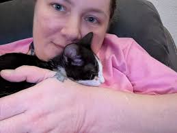 Lost, Found, & Foster Pets El Paso, TX