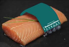 Последние твиты от atlantic sapphire (@atlsapphire). Bluehouse Salmon Atlantic Sapphire Salmon Land Based Farmed