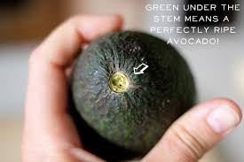 More images for how to tell if your avocado is ripe » How To Tell Avocado Is Ripe Ovulation Signs