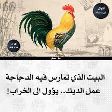 Pin By Bachir Precieux On حكم و عبر معرفه Reading