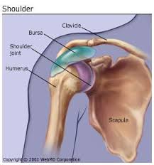 Bursae are everywhere in the body. Bursitis Types Causes Symptoms Treatment And Prevention