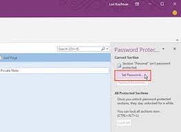 Aug 22, 2012 · onenote uses the 3des encryption standard to password protect your sections in onenote. Como Proteger Con Contrasena Sus Notas En Onenote 2016 Productividad Noticias Del Mundo De La Tecnologia Moderna