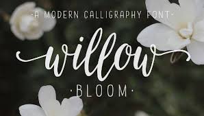 If you've ever paid even a little attention to the appearance of typed letters, you're noticing various fonts. 18 Calligraphy Fonts Free Otf Ttf Format Download Free Premium Templates