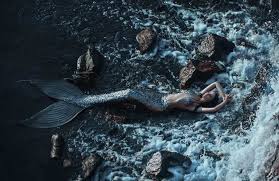 Image result for real mermaid