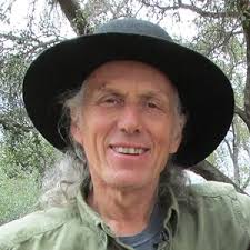 Amazon.com: Judith Larner Lowry: books, biography, latest update