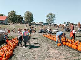 Image result for tbn:0PJB32OL7JwfOM::farm4.static.flickr.com/3324/3329876139_f2d551139f.jpg