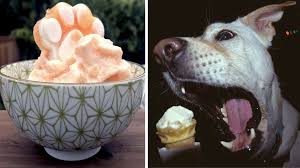 They contain sugar, so be sure to give them in moderation. The 6 Best Dog Ice Cream Recipes For 2019 Yogurt Dairy Free And More