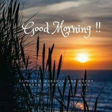 Good Morning Images Good Morning Images Morning Pictures Good Morning Photos Download